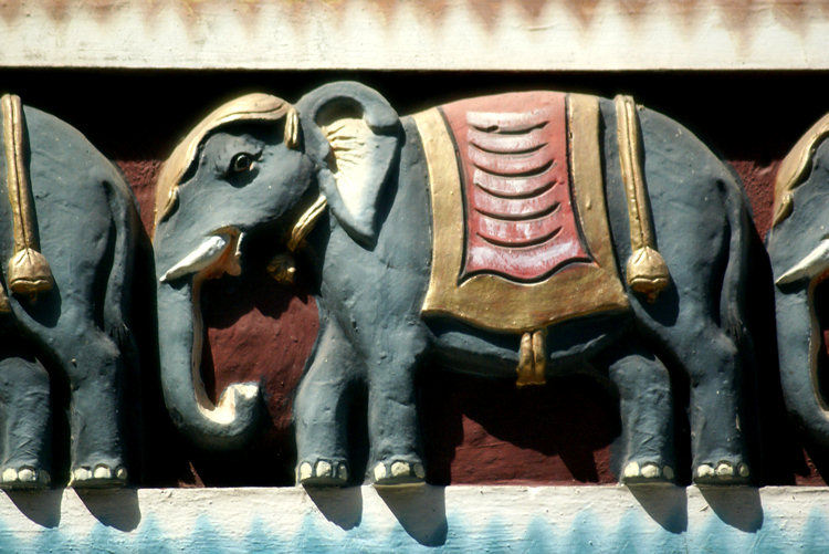 sri-lanka-elephant-carving-hindu-temple-1st-cross-street-colombo